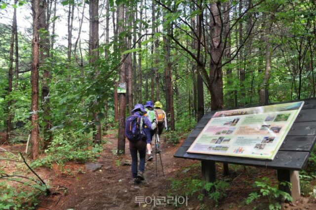 봄 트레킹 핫플…영주 동서트레일 ‘20km 백패킹 코스’
