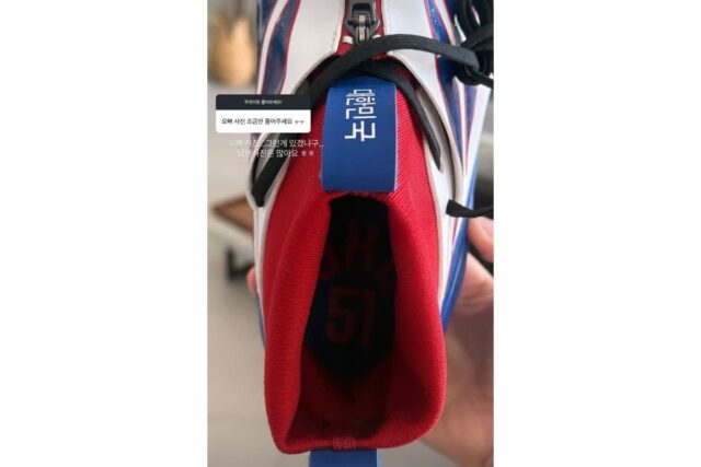 오빠 없는 사람이 분명한 이정후 동생 무물 질문자