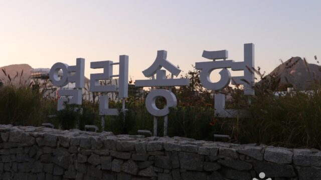 “사람들 발걸음이 자연스럽게 느려진다고?”… 365일 즐기는 도심 속 푸른 오아시스 여행지