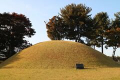 “15,000㎡ 대지가 전부 고대 유산이라니?”… 도심 속 역사 여행지