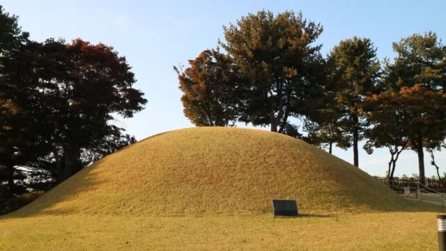 “15,000㎡ 대지가 전부 고대 유산이라니?”… 도심 속 역사 여행지