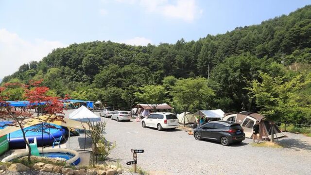 “가을에만 이 길이 진짜 멋있다니”… 15km 드라이브로 만나는 낭만 여행지