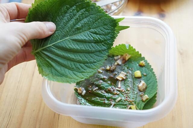 “치매 걱정 싹 사라졌다” 102세 장수 어르신이 밥 먹듯 챙겨 먹는 이 음식