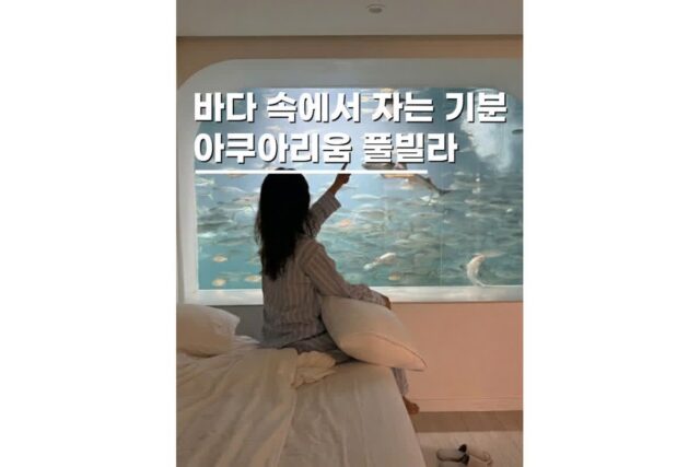 경주감포펜션 시어풀빌라 오션뷰 아쿠아리움 감성숙소 숙박후기