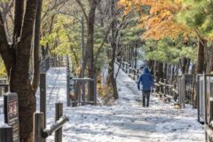 “서울 도심에 이런 자연이?”… 200,000㎡ 힐링 명소 갈산공원