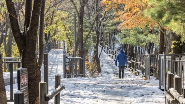 “서울 도심에 이런 자연이?”… 200,000㎡ 힐링 명소 갈산공원