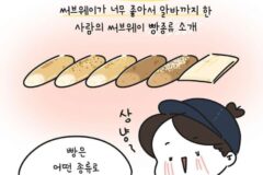 그림으로 쉽게 설명해주는 서브웨이 빵종류