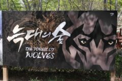 전주 동물원 늑대 5남매