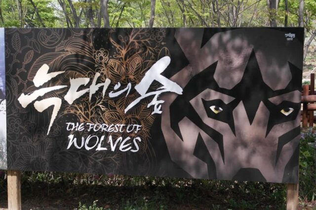 전주 동물원 늑대 5남매