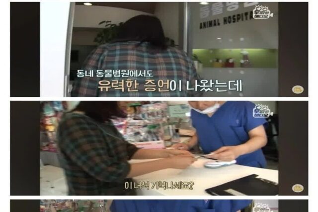 36살 장수 강아지