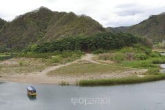 아이와 가기 딱 좋다…영월, 청령포 관광열차로 봄 정원 한 바퀴