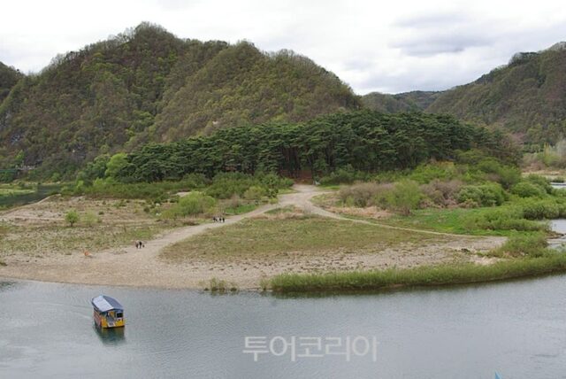 아이와 가기 딱 좋다…영월, 청령포 관광열차로 봄 정원 한 바퀴