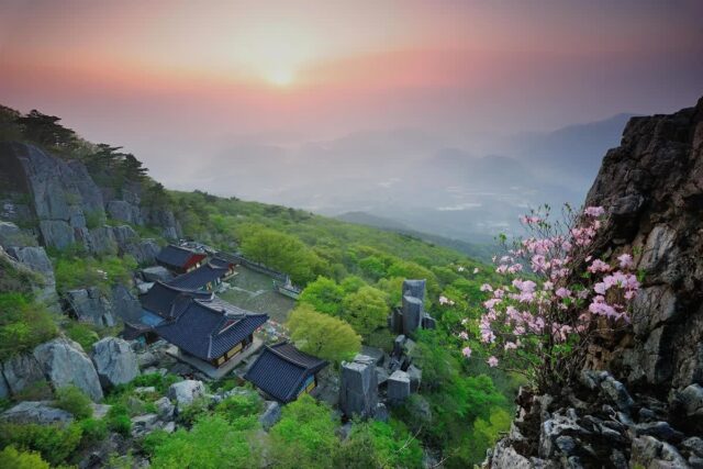 전남가볼만한곳 BEST 5: 2026 봄, 꼭 방문해야 할 명소