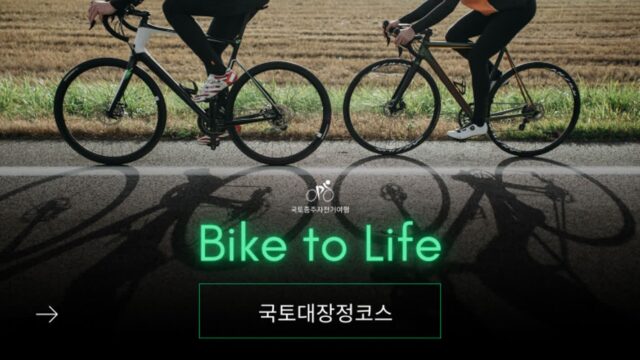 국토대장정 이슈 인사이트 국토대장정코스