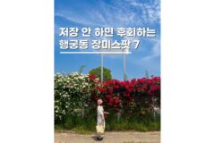 행궁동 파란대문 포함 장미명소 데이트코스 BEST 7