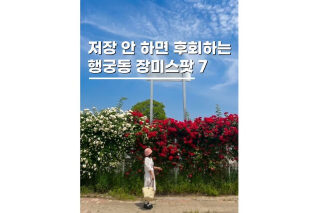 행궁동 파란대문 포함 장미명소 데이트코스 BEST 7
