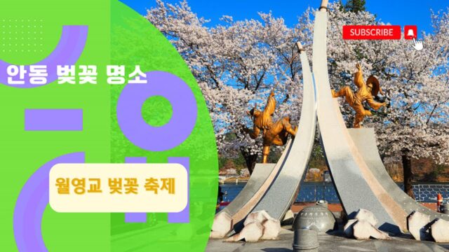 안동 가볼만한 곳 월영교 벚꽃 명소 축제 거리