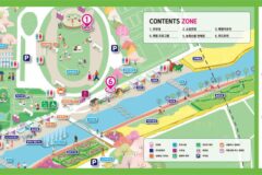 “1.13km 유채꽃 천국과 20만 주 초화류 절정” 전남 화순 봄꽃 축제