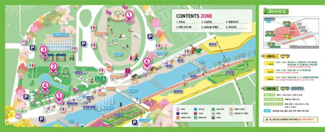 “1.13km 유채꽃 천국과 20만 주 초화류 절정” 전남 화순 봄꽃 축제