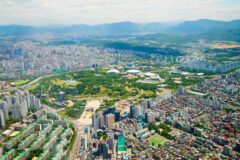 2026 3월꽃구경, 놓치면 아쉬울 봄의 절정 명소 5곳 추천