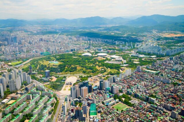 2026 3월꽃구경, 놓치면 아쉬울 봄의 절정 명소 5곳 추천