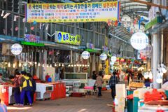 홍성가볼만한곳, 2026 봄날의 미식과 자연을 만끽하는 여행지