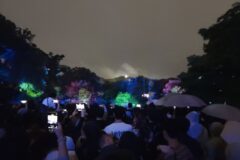 2026 창경궁 물빛연화 춘당지 위치 상영 시간 야간개장