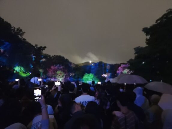 2026 창경궁 물빛연화 춘당지 위치 상영 시간 야간개장
