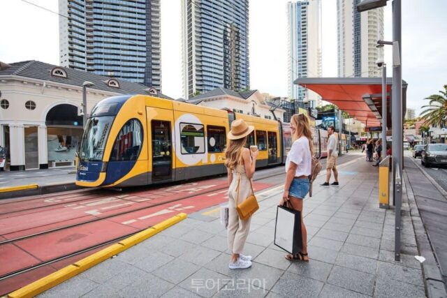 “단돈 450원으로 도심 누빈다”…호주 퀸즐랜드, 50센트 교통에 ‘뚜벅이 가심비 여행지’ 급부상