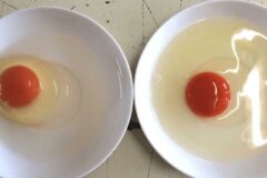마트에서 사온 계란 “이런 증상” 보이면 내부에 공기가 찬 썩은 계란입니다.