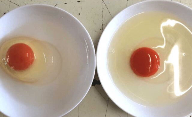 마트에서 사온 계란 “이런 증상” 보이면 내부에 공기가 찬 썩은 계란입니다.