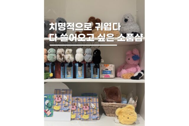 서울소품샵추천 강남 놀거리 뉴뉴하우스 실내데이트