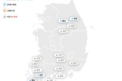 평창 반값 여행 혜택 총정리 및 가볼 만한 곳 추천 숙박부터 체험까지 50% 할인받는 꿀팁