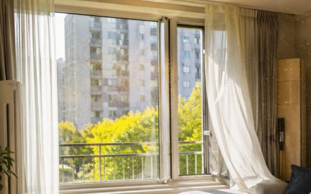 “창문 그냥 열었다가…” 꽃가루 집안에 다 들어와서 난리납니다! ‘이렇게’ 해 보세요