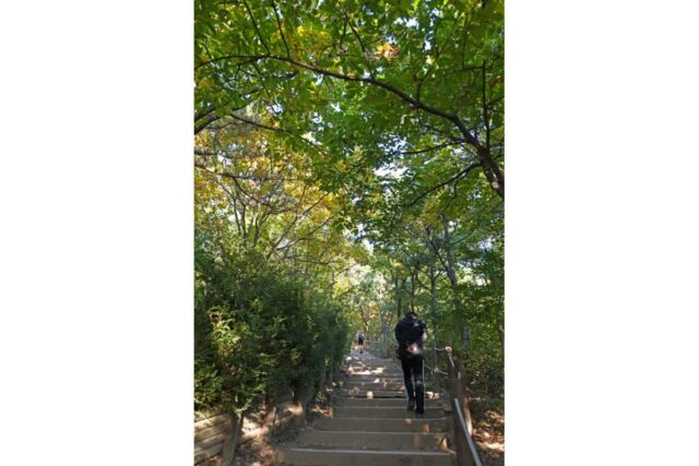 계양산 등산코스 가이드, 초급·중급·어려움으로 나눠보니 더 쉬웠다?