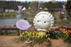 충청도가볼만한곳 2026 4월, 봄 여행 추천 명소 6곳