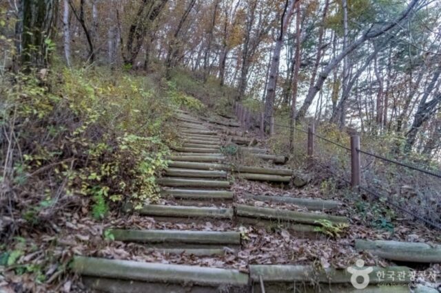 “이름부터 재밌네” 원주시내 치악산까지 훤히 보이는 419m 배부른산