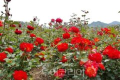 5월 감성충전 강원도 여행지는 ?