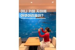 경주 아이랑 가볼만한곳 아쿠아리움이 있는 이색카페 투썸감포