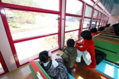 국내기차여행, 2026년 봄 놓칠 수 없는 명소 5가지