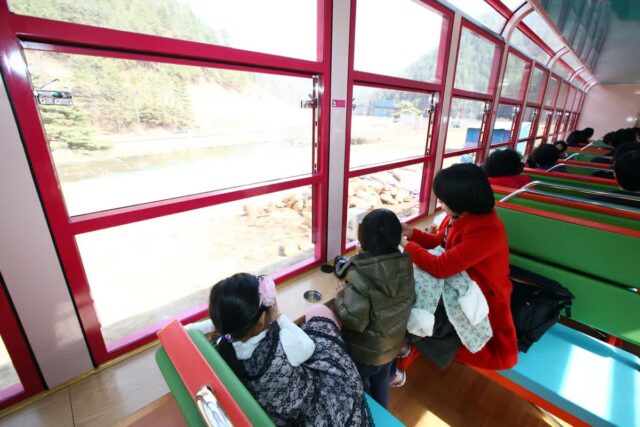 국내기차여행, 2026년 봄 놓칠 수 없는 명소 5가지