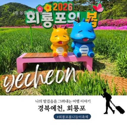 경북 가볼만한 곳 예천 여행 회룡포 봄나들이 축제 2026 봄꽃 구경