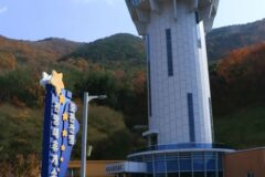 영천가볼만한곳 2026년, 봄부터 초여름 추천 BEST 6