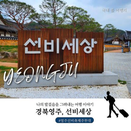 경북 가볼만한 곳 영주 여행 선비세상Ⅰ입장료 주차 체험까지 한 번에 정리