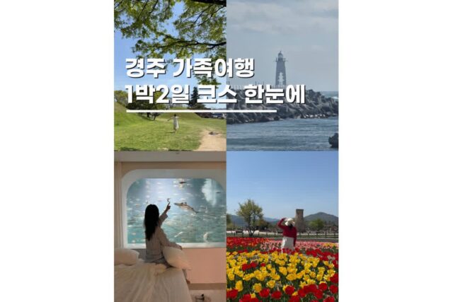 5월 국내여행지 추천 경주 1박2일코스 가족 이대로만 가세요