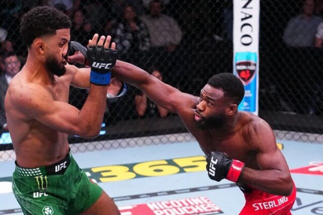 [UFC] 알저메인 스털링, 잘랄 꺾고 2연승… 볼카노프스키에 타이틀 도전 선언