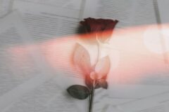 숙희, 새 디지털 싱글 ‘그댈 향한 마음이’ 발매