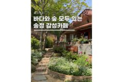부산카페 오션뷰 가볼만한곳 송정 올드머그 애견동반 가능