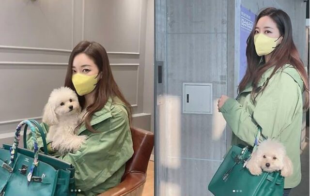 1,500만원 명품백을 반려견 가방으로 쓰는 리치언니