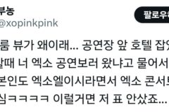 호텔에서 명당뷰 받았다는 엑소팬